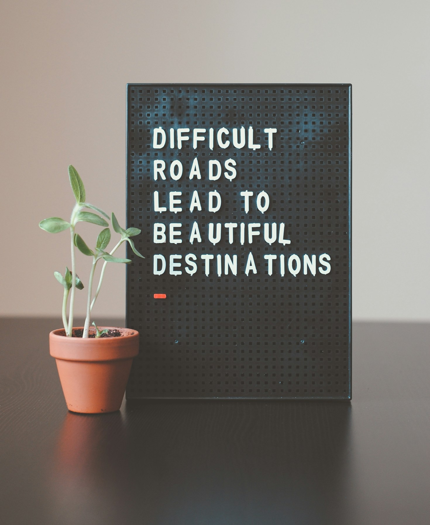 The Connection Between Growth and Financial Health